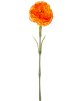 Den kunstige blomsternelliker 57 cm orange er en kunstig orange nelliker med flæser i kronbladene og en lang grøn stilk, isoleret på en hvid baggrund.