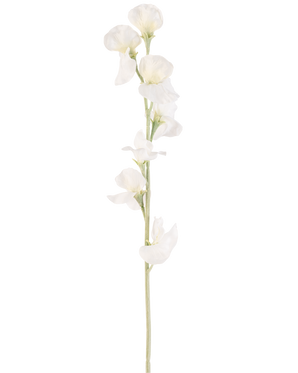 En enkelt Artificial Flower Pea 64 cm creme har flere sarte cremede hvide blomster på lysegrønne stængler mod en almindelig hvid baggrund.