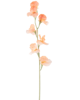 En enkelt kunstig blomsterært 64 cm fersken har en lys ferskenfarvet kunstært med flæser i kronbladene og en grøn stilk, isoleret på hvidt.