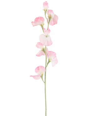 En enkelt kunstig ærteblomst, 64 cm høj med lyserøde kronblade og en lysegrøn stilk, isoleret på en hvid baggrund.