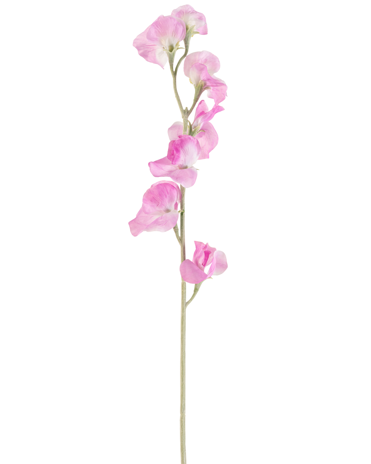 En enkelt kunstig blomsterært 64 cm pink har sarte, flæsede lyserøde kronblade og en lysegrøn stilk, mod en almindelig hvid baggrund.