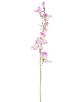 En enkelt lang kunstærteblomst 64 cm lilla stilk med sarte lilla blomster arrangeret lodret, mod en almindelig hvid baggrund.