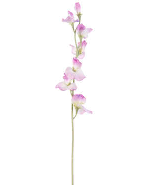 En enkelt lang kunstærteblomst 64 cm lilla stilk med sarte lilla blomster arrangeret lodret, mod en almindelig hvid baggrund.
