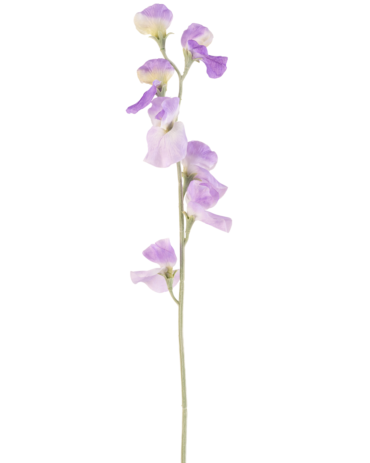 En enkelt kunstig blomsterært 64 cm lilla med sarte lyslilla kronblade og grønne blade, isoleret på en hvid baggrund.