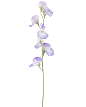 En enkelt kunstig ærteblomst 64 cm lavendel, med flere sarte lyse lilla blomster og grønne stængler, isoleret på en hvid baggrund.