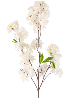 En kunstig kirsebærblomst 119 cm creme med klynger af sarte hvide blomster og et par lyse grønne blade på slanke brune stængler, isoleret på en hvid baggrund.