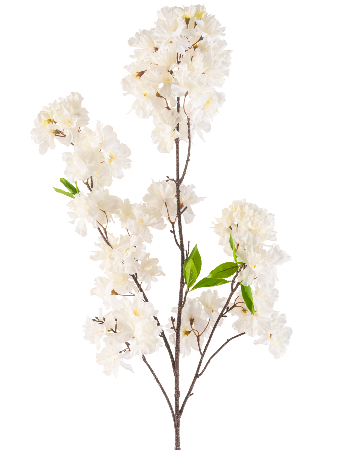 En kunstig kirsebærblomst 119 cm creme med klynger af sarte hvide blomster og et par lyse grønne blade på slanke brune stængler, isoleret på en hvid baggrund.