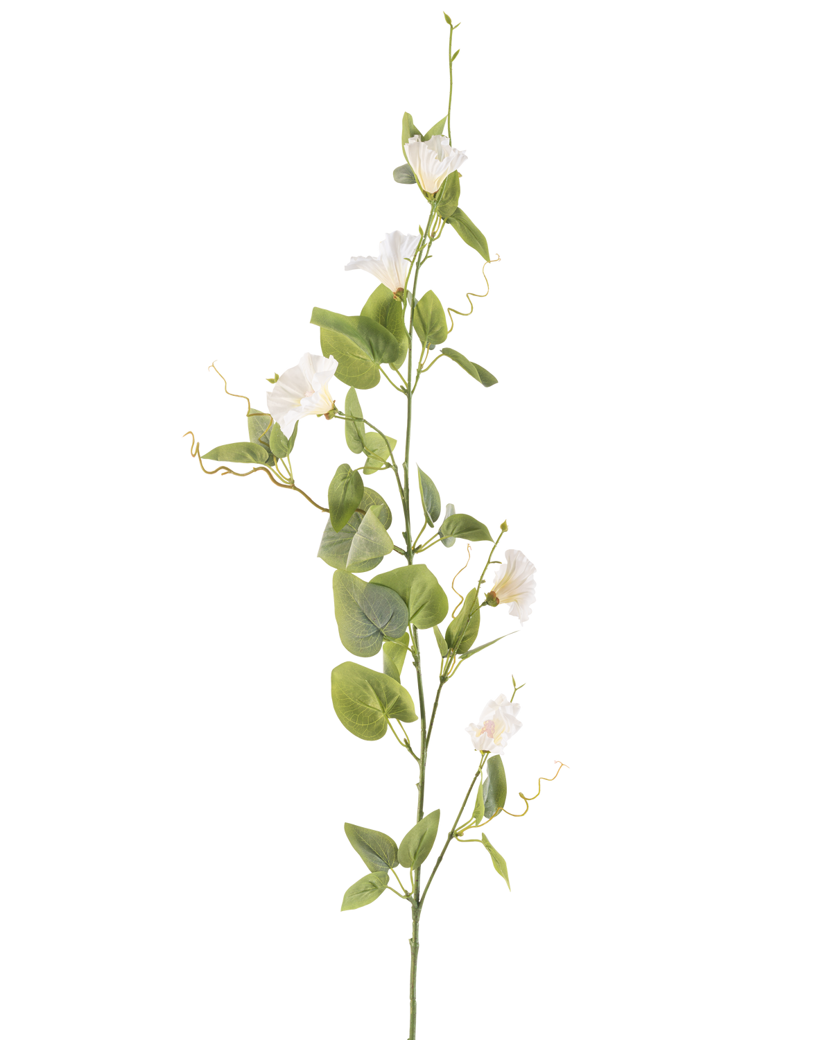 Artificial Flower Bindweed 122 cm hvid har en enkelt stilk med små hvide blomster, grønne blade og krøllede ranker mod en almindelig hvid baggrund.