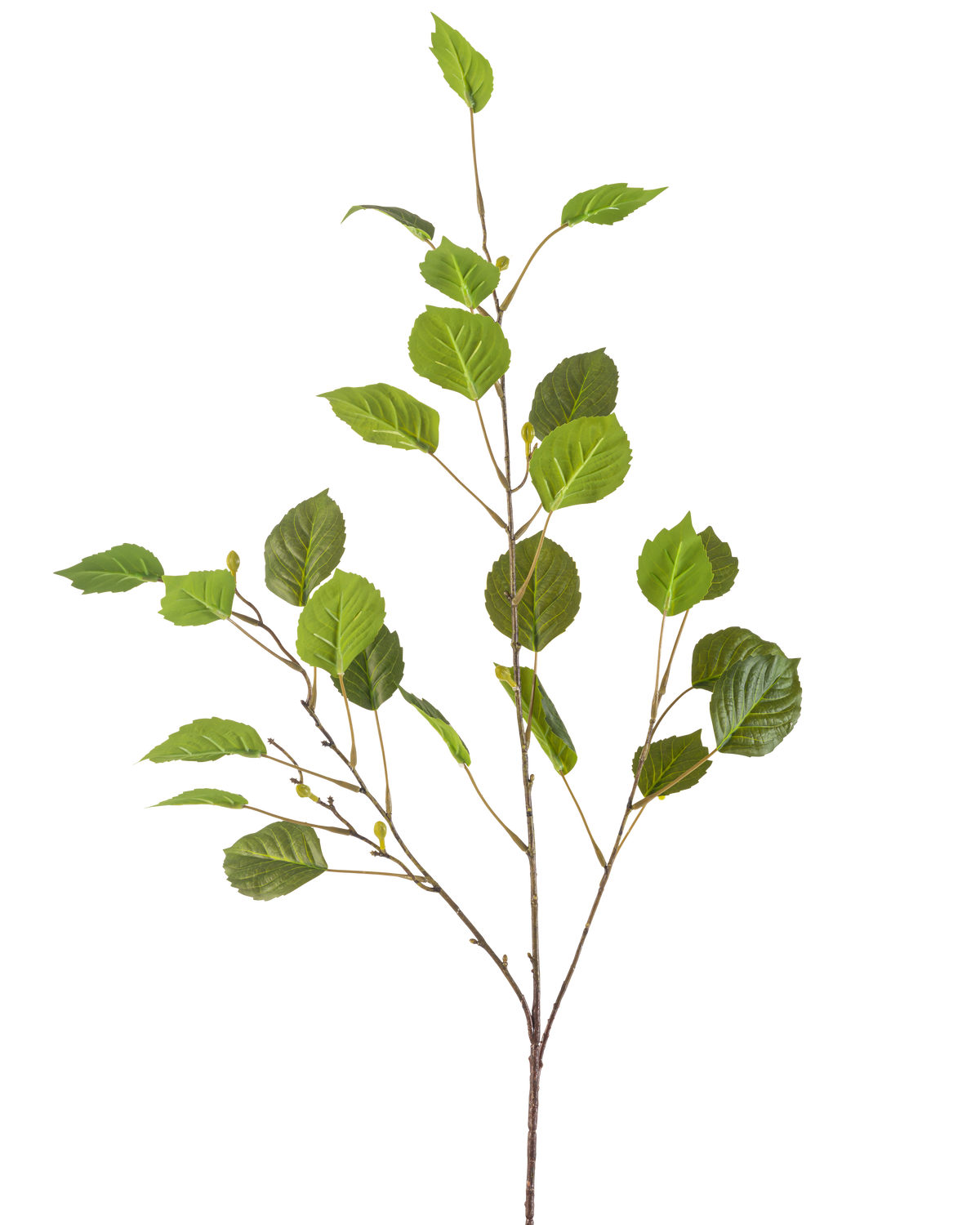 Den kunstige gren 118 cm grøn er en enkelt tynd gren med flere grønne blade og små knopper, isoleret på en hvid baggrund.