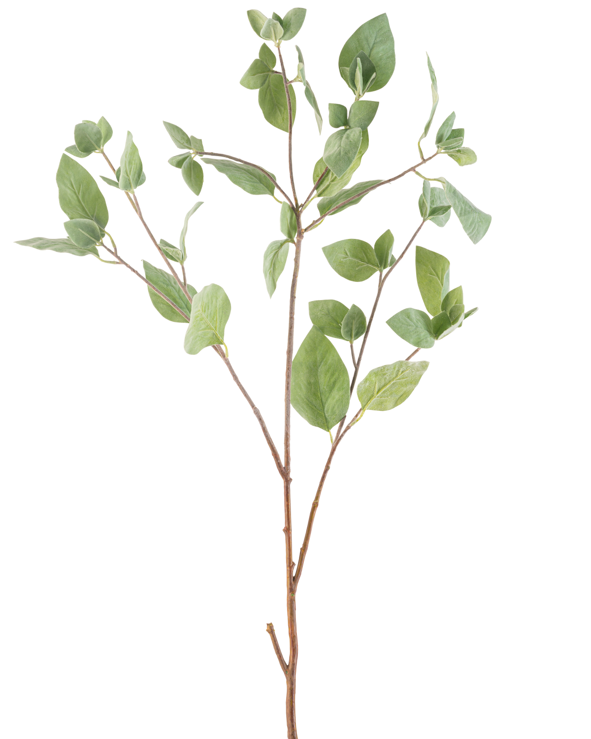 Artificial Branch Mint Leaf 97 cm grøn har flere tynde stængler med grønne ovale blade mod en almindelig hvid baggrund.