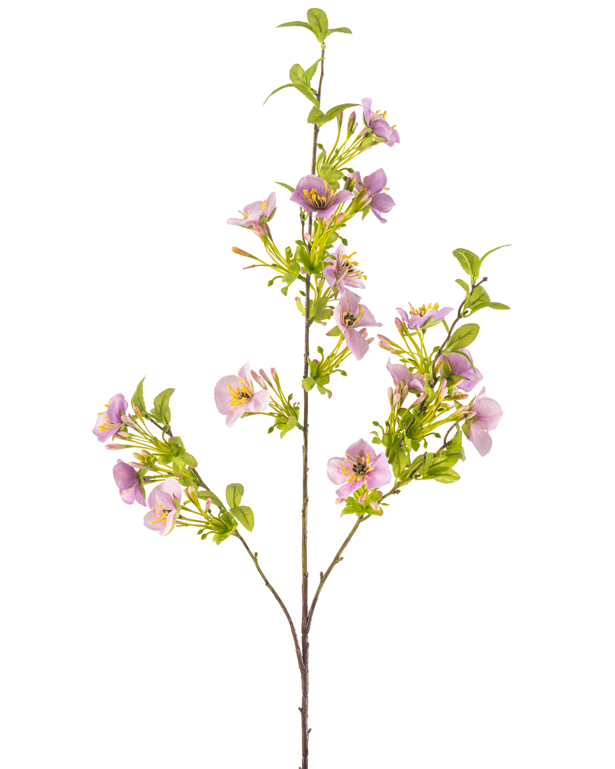 Den kunstige blomst Quisqualis 110 cm lilla har en lang, slank stilk med flere grønne blade og klaser af sarte lyslilla blomster med et gult hjerte mod en hvid baggrund.