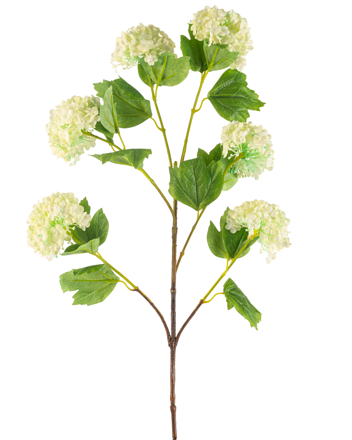 Artificial Flower Snowball 94 cm grøn har en enkelt kunstig stilk med bundter af lysegrønne, hortensia-lignende blomster og nogle grønne blade, afbildet på en hvid baggrund.