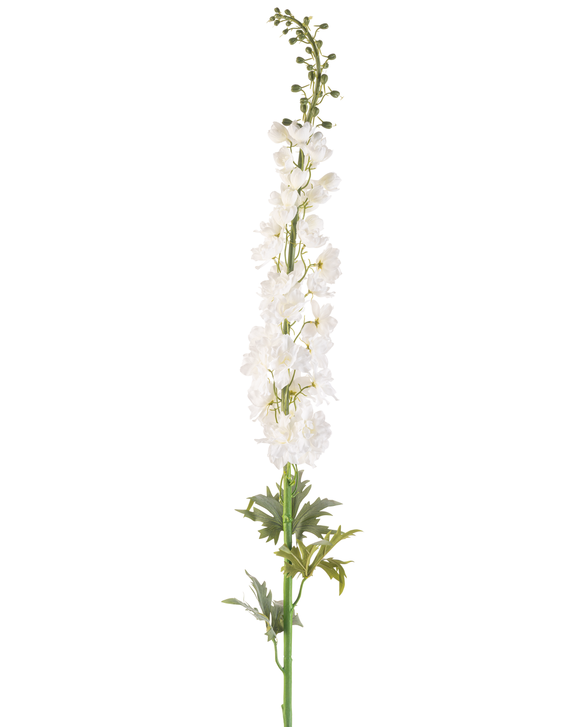 Den kunstige blomsterspore 137 cm hvid er en høj kunstig sporestamme med flere små hvide blomster på langs og grønne blade i bunden, mod en almindelig hvid baggrund.