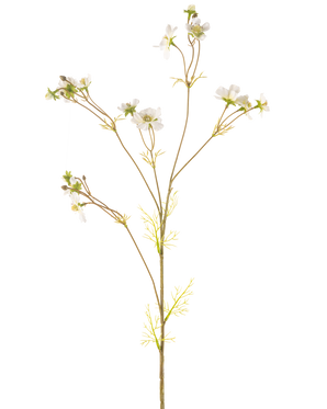 Artificial Flower Cosmos 95 cm cremen er en høj, delikat kunstig plante med tynde stængler, små grønne blade og klaser af små hvide blomster med et gult hjerte, afbildet på en almindelig hvid baggrund.