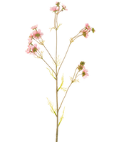 En Artificial Flower Cosmos 95 cm pink har en enkelt høj stilk med flere tynde grene, hver dekoreret med bundter af sarte lyserøde blomster og lysegrønne blade, mod en almindelig hvid baggrund.