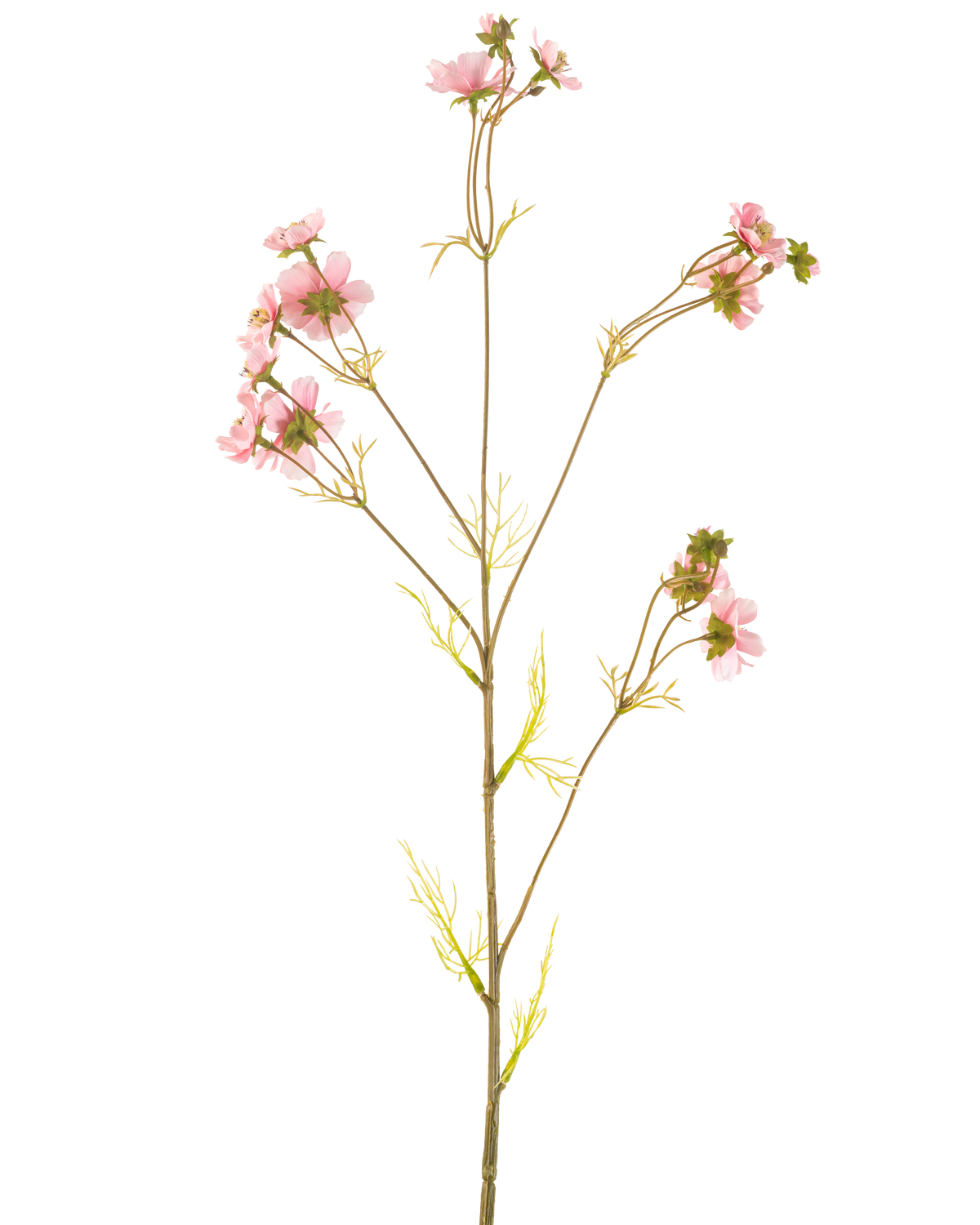 En Artificial Flower Cosmos 95 cm pink har en enkelt høj stilk med flere tynde grene, hver dekoreret med bundter af sarte lyserøde blomster og lysegrønne blade, mod en almindelig hvid baggrund.