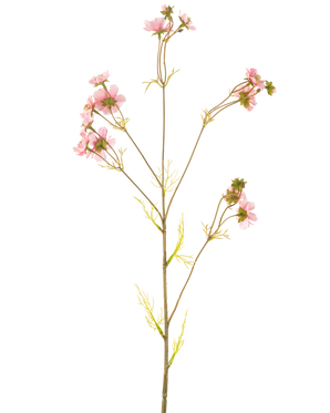 En Artificial Flower Cosmos 95 cm pink har en enkelt høj stilk med flere tynde grene, hver dekoreret med bundter af sarte lyserøde blomster og lysegrønne blade, mod en almindelig hvid baggrund.