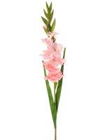 Den kunstige blomst Gladiolus 93 cm pink har en enkelt stilk med flere bløde lyserøde blomster og lange grønne blade, afbildet på en hvid baggrund.