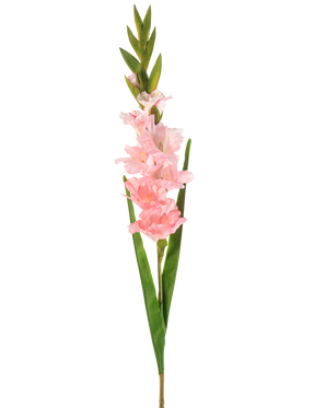 Den kunstige blomst Gladiolus 93 cm pink har en enkelt stilk med flere bløde lyserøde blomster og lange grønne blade, afbildet på en hvid baggrund.