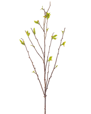 Den kunstige blomst Winterzoet 81 cm grøn er en kunstig gren med tynde brune stængler og små grønne blade mod en hvid baggrund.