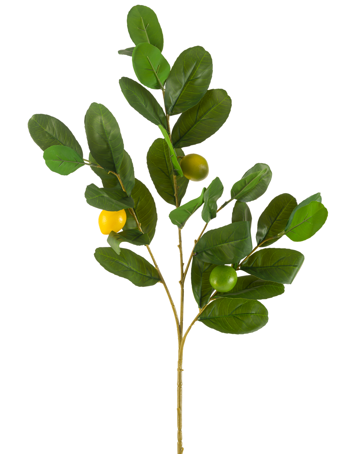 Den kunstige citrongren 80 cm grøn har en gren med brede, blanke grønne blade og tre runde gulgrønne frugter, mod en almindelig hvid baggrund.