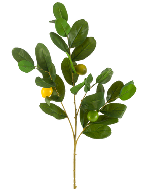 Den kunstige citrongren 80 cm grøn har en gren med brede, blanke grønne blade og tre runde gulgrønne frugter, mod en almindelig hvid baggrund.