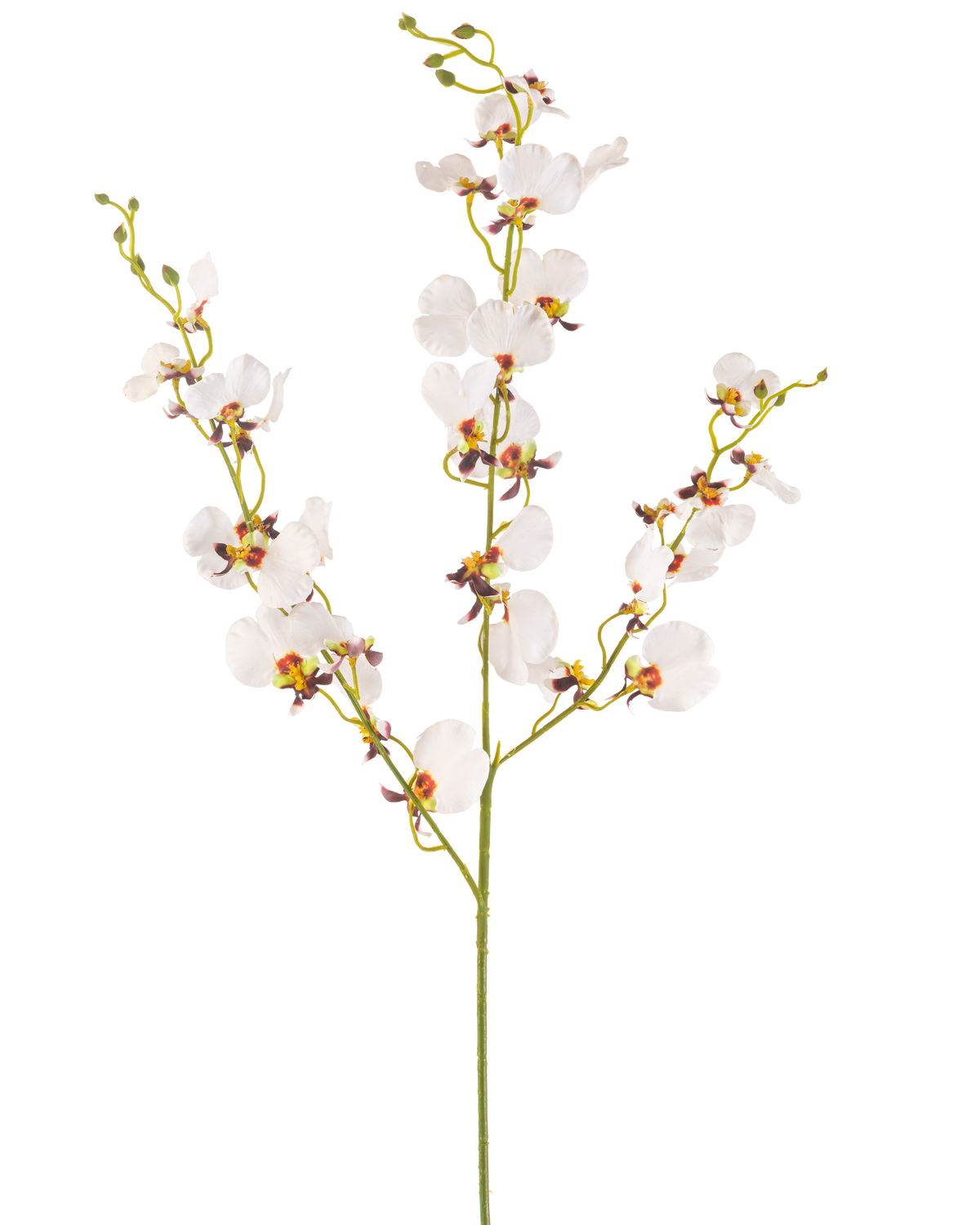 Artificial Flower Orchid 98 cm cremen er en enkelt kunstig creme orkidéstængel med flere sarte blomster og flere knopper, med gule og lilla centre, isoleret på en almindelig hvid baggrund.