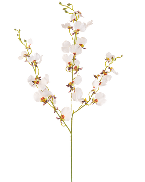 Artificial Flower Orchid 98 cm cremen er en enkelt kunstig creme orkidéstængel med flere sarte blomster og flere knopper, med gule og lilla centre, isoleret på en almindelig hvid baggrund.