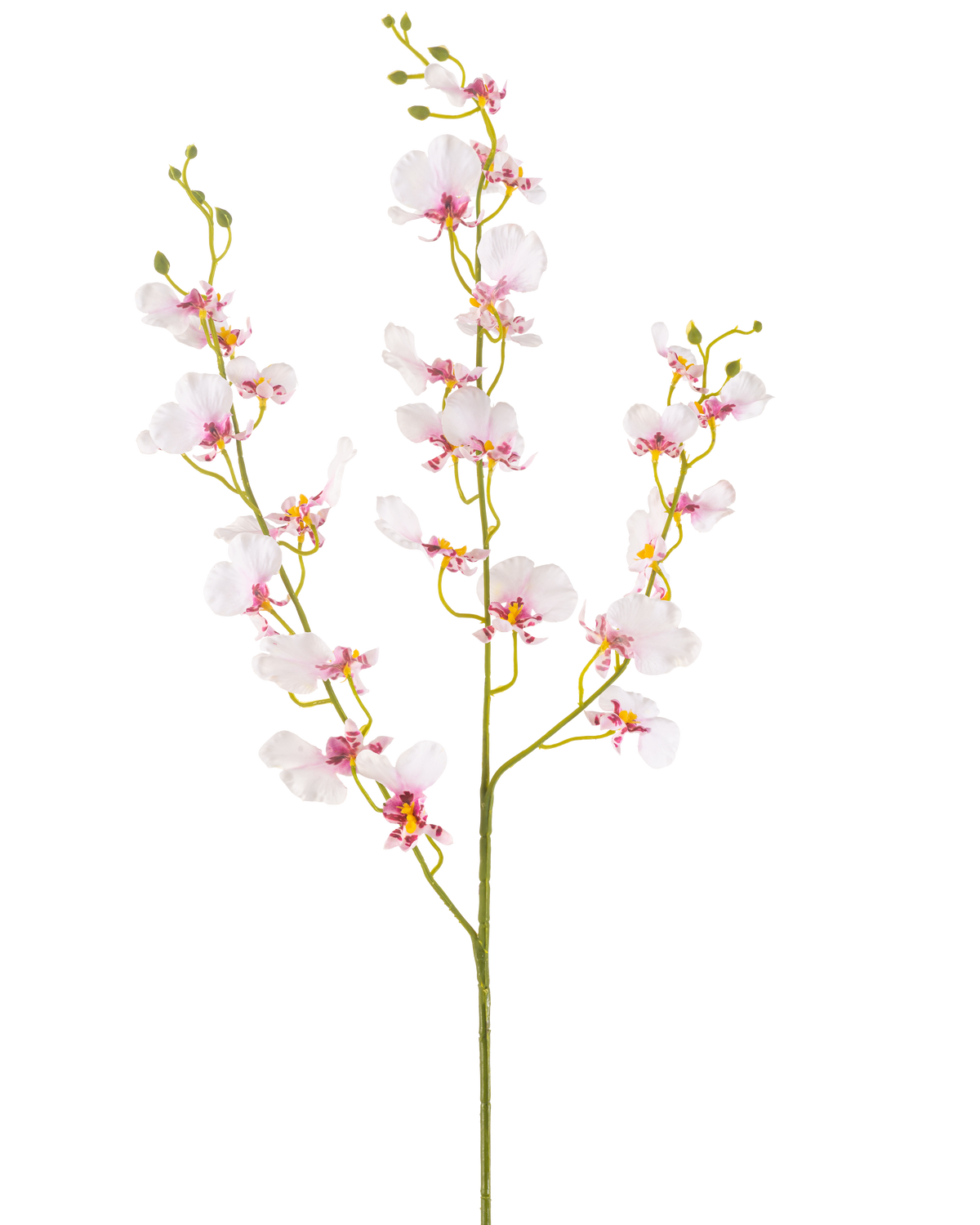 Artificial Flower Orchid 98 cm blush har en enkelt lang stilk med flere sarte lyserøde orkidéblomster og knopper, tynde grønne grene og små ovale blade, alt sammen mod en almindelig hvid baggrund.