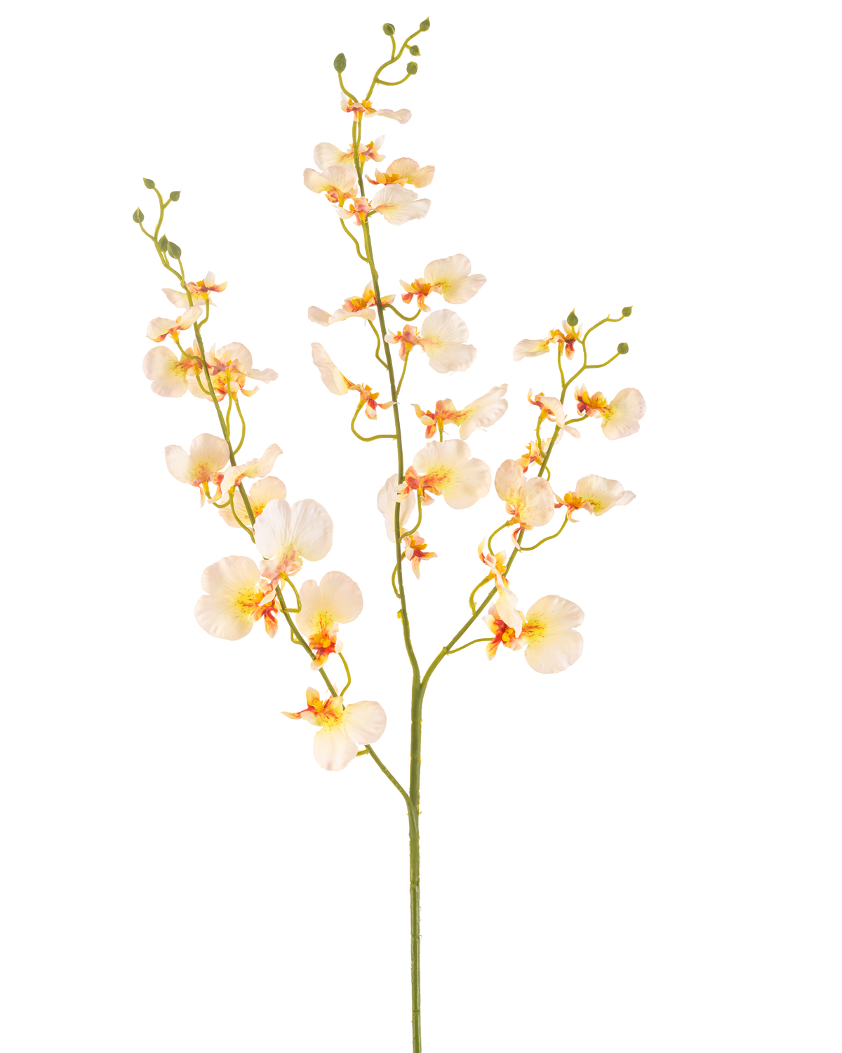 Artificial Flower Orchid 98 cm lysegul har en lang grøn stilk med flere grene og sarte lysegule orkideer, hver med et blødt orange og rødt hjerte, alt sammen mod en hvid baggrund.