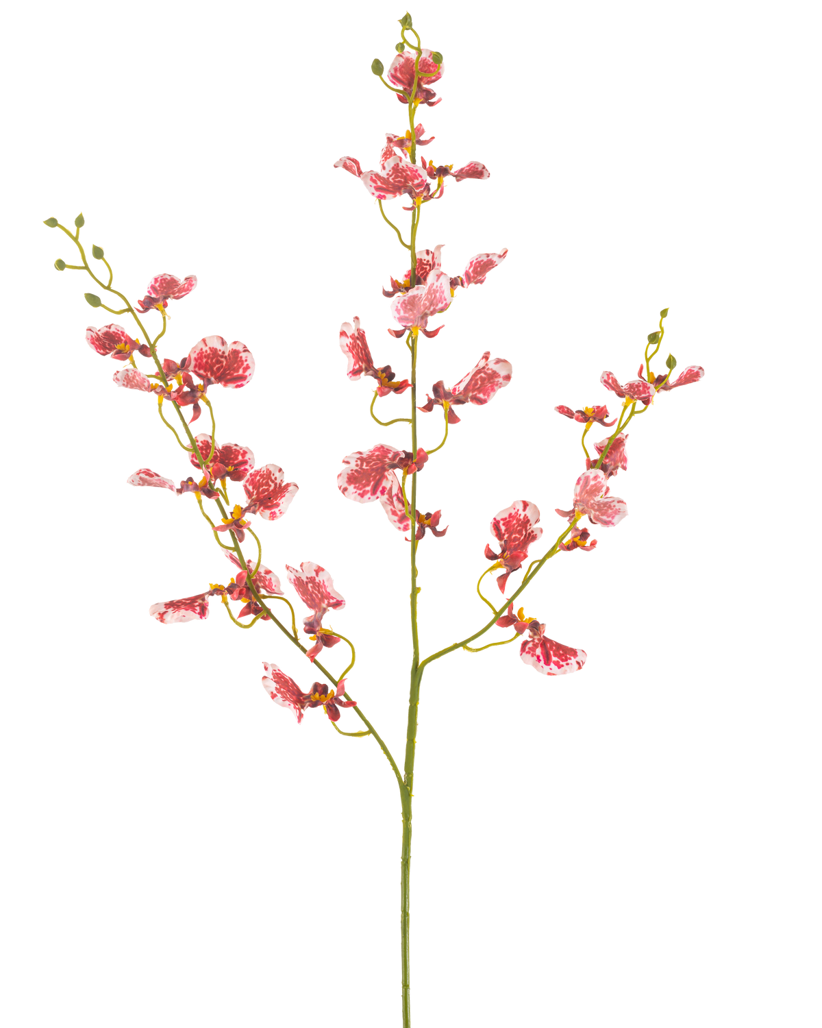 En enkelt rød kunstig blomsterorkidé 98 cm med flere grene, hver med klaser af levende blomster, mod en almindelig hvid baggrund.