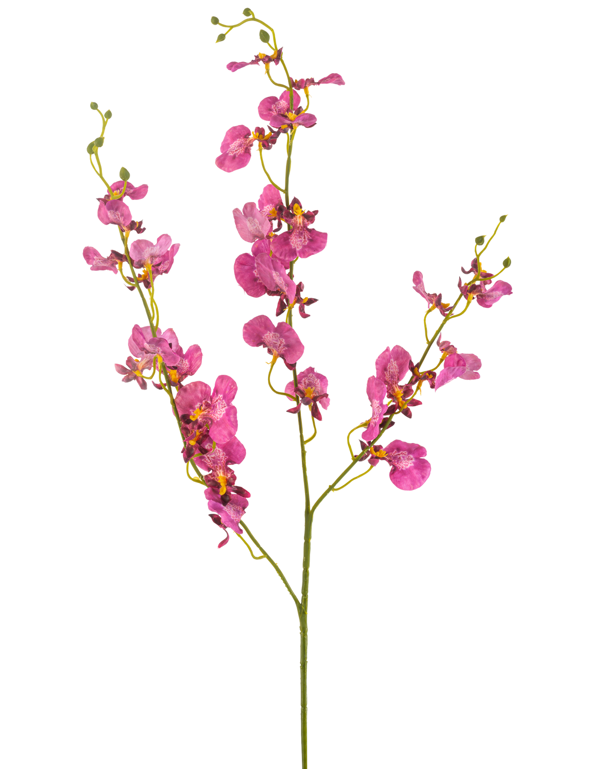 Artificial Flower Orchid 98 cm fuchsia har levende lyserøde orkidéblomster og knopper på lange, slanke grønne stængler, smukt mod en hvid baggrund.