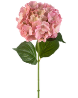 Artificial Flower Hydrangea 75 cm pink har en enkelt pink hortensia-blomst med fine kronblade og to store grønne blade på en lang grøn stilk, mod en hvid baggrund.