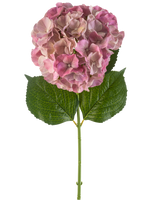 Den kunstige blomst hortensia 75 cm lilla har en enkelt lilla hortensia blomst med grønne blade på en lang stilk, mod en hvid baggrund.