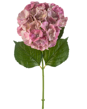 Den kunstige blomst hortensia 75 cm lilla har en enkelt lilla hortensia blomst med grønne blade på en lang stilk, mod en hvid baggrund.