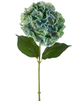 Den kunstige blomsterhortensia 75 cm påfugleblå har en enkelt blå kunstig hortensia med runde klaser af kronblade og to store grønne blade på en lang stilk, isoleret på en hvid baggrund.