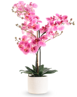 Artificial Orchid Real Touch 68 cm pink har en levende pink orkidé med flere stængler og grønne blade i en hvid keramisk potte, mod en almindelig hvid baggrund.