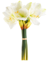 Den kunstige blomst Amaryllis Real Touch hvid 36 cm har naturtro hvide amaryllisblomster med lysegrønne centre og gule støvdragere, bundet med et beige bånd omkring grønne stængler, perfekt mod en almindelig hvid baggrund.