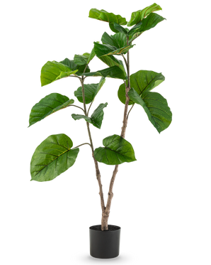 Den kunstige plante Ficus Rumphii 120 cm er en høj kunstig plante med brede, blanke grønne blade og flere grene, i en simpel sort potte mod en almindelig hvid baggrund.
