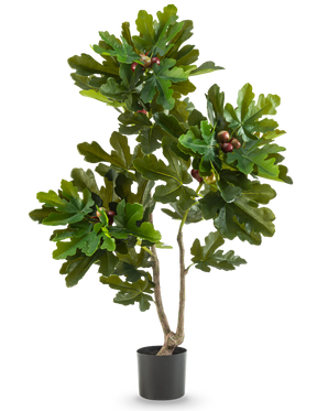Den kunstige plante Ficus Carica Figentræ 120 cm har frodige grønne blade og små brune frugter i en sort potte, mod en almindelig hvid baggrund.