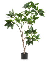 Den Artificial Schefflera 120 cm-plante har flere slanke brune stængler med klaser af store, blanke grønne blade i en lille sort potte, mod en almindelig hvid baggrund.