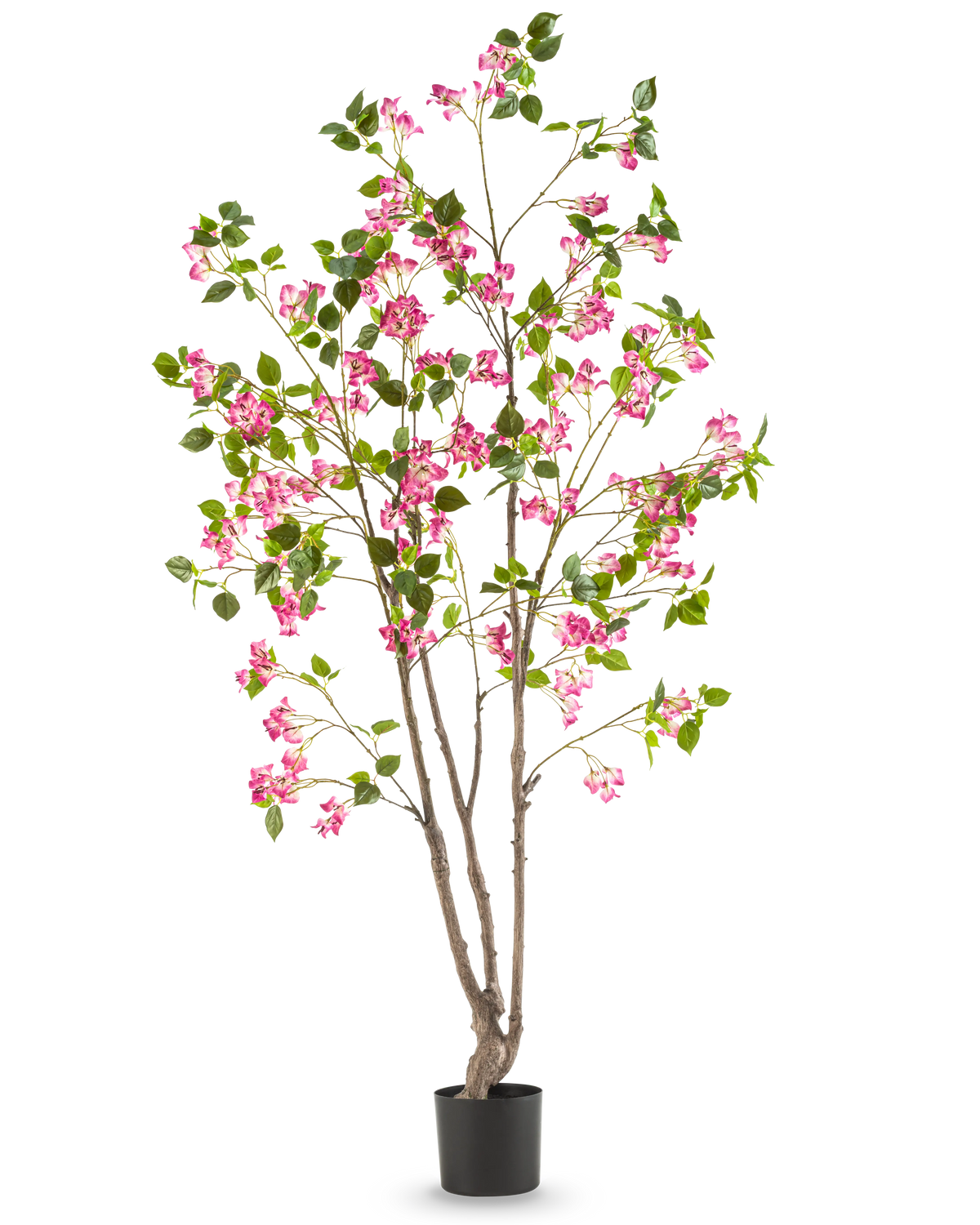 Den Kunstige Bougainvillea 180 cm er en høj kunstig plante med flere brune stængler, grønne blade og lyserøde blomster i en sort potte, mod en almindelig hvid baggrund.