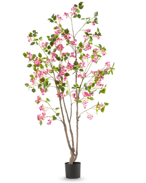 Den Kunstige Bougainvillea 180 cm er en høj kunstig plante med flere brune stængler, grønne blade og lyserøde blomster i en sort potte, mod en almindelig hvid baggrund.