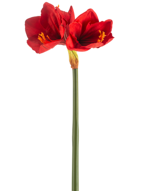 Den kunstige blomst Amaryllis Real Touch rød 66 cm har en enkelt grøn stilk med to store, levende røde blomster og gule støvdragere, mod en almindelig hvid baggrund.
