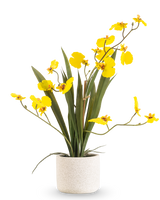 Artificial Oncidium Real Touch 48 cm gul har lange, slanke blade og lange stængler med knaldgule orkideer i en hvid potte, mod en almindelig hvid baggrund.