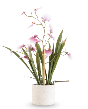 Artificial Oncidium Real Touch 48 cm pink har en høj orkidé med lange grønne blade og sarte lyserøde blomster på buede stængler i en hvid tekstureret potte mod en almindelig hvid baggrund.