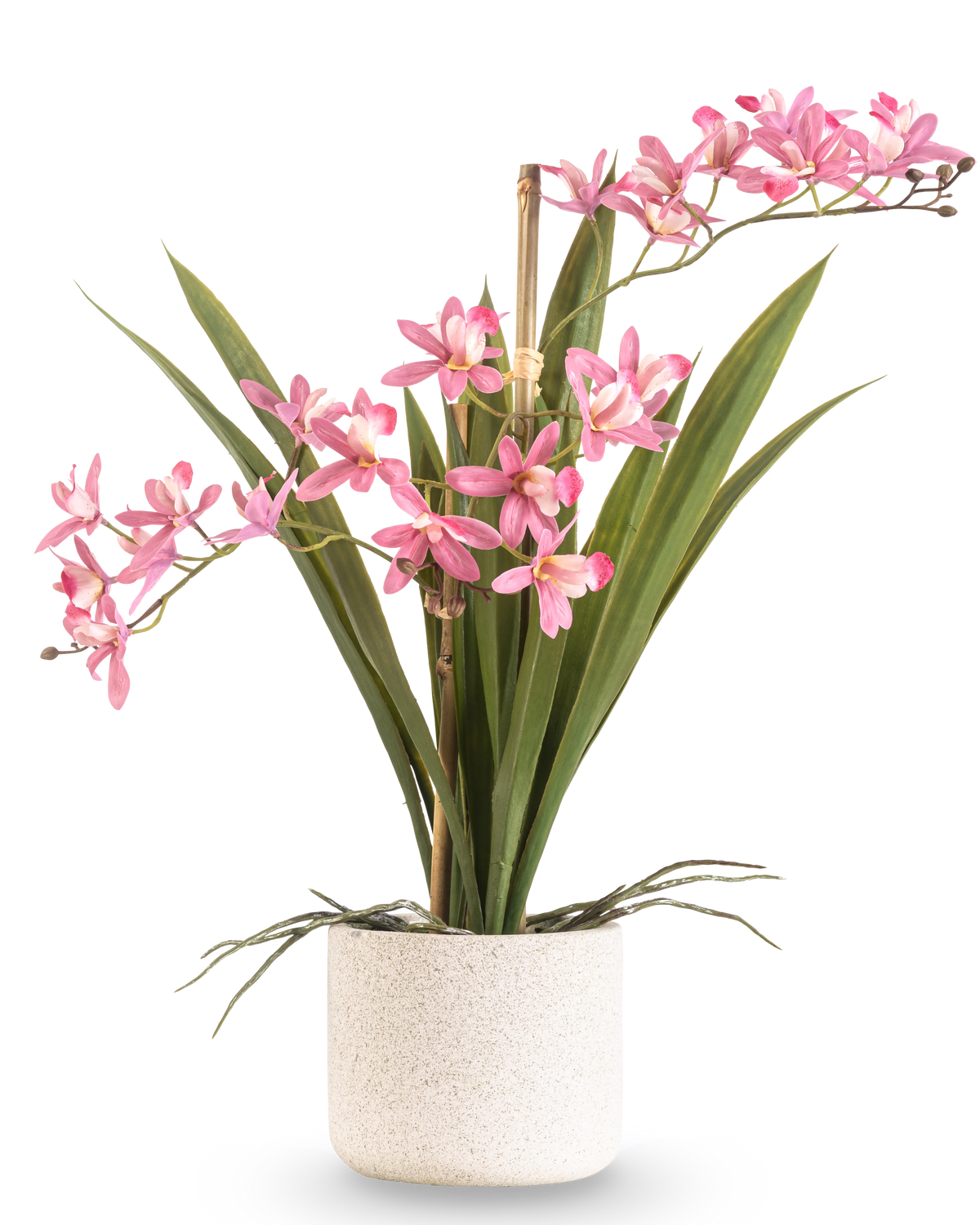 Den kunstige plante Mini Cymbidium Real Touch 45 cm pink har lange grønne blade og flere lyserøde blomsterstængler, arrangeret i en enkel potte med hvid tekstur og mod en almindelig baggrund.