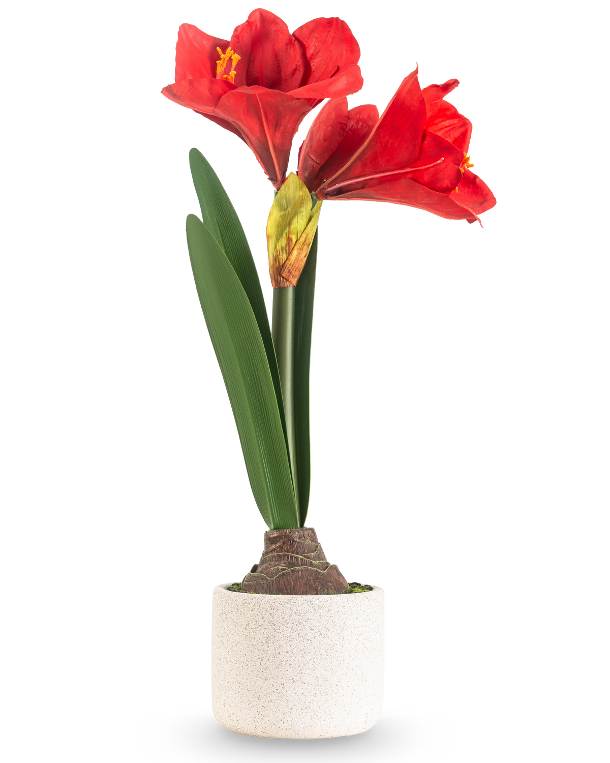 Den kunstige blomst Amaryllis Real Touch rød 48 cm har to store røde blomster og lange grønne blade, præsenteret i en enkel potte med hvid tekstur mod en almindelig lys baggrund.