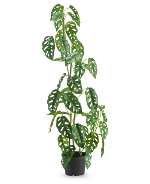 Den kunstige plante Monstera 90 cm grøn er en høj, grøn kunstig plante med ovale blade med flere huller, vist i en potte mod en almindelig hvid baggrund.