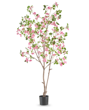 Den kunstige bougainvillea 210 cm er et højt kunstigt træ med slanke brune grene, grønne blade og klaser af lyserøde blomster i en enkel sort potte mod en hvid baggrund.